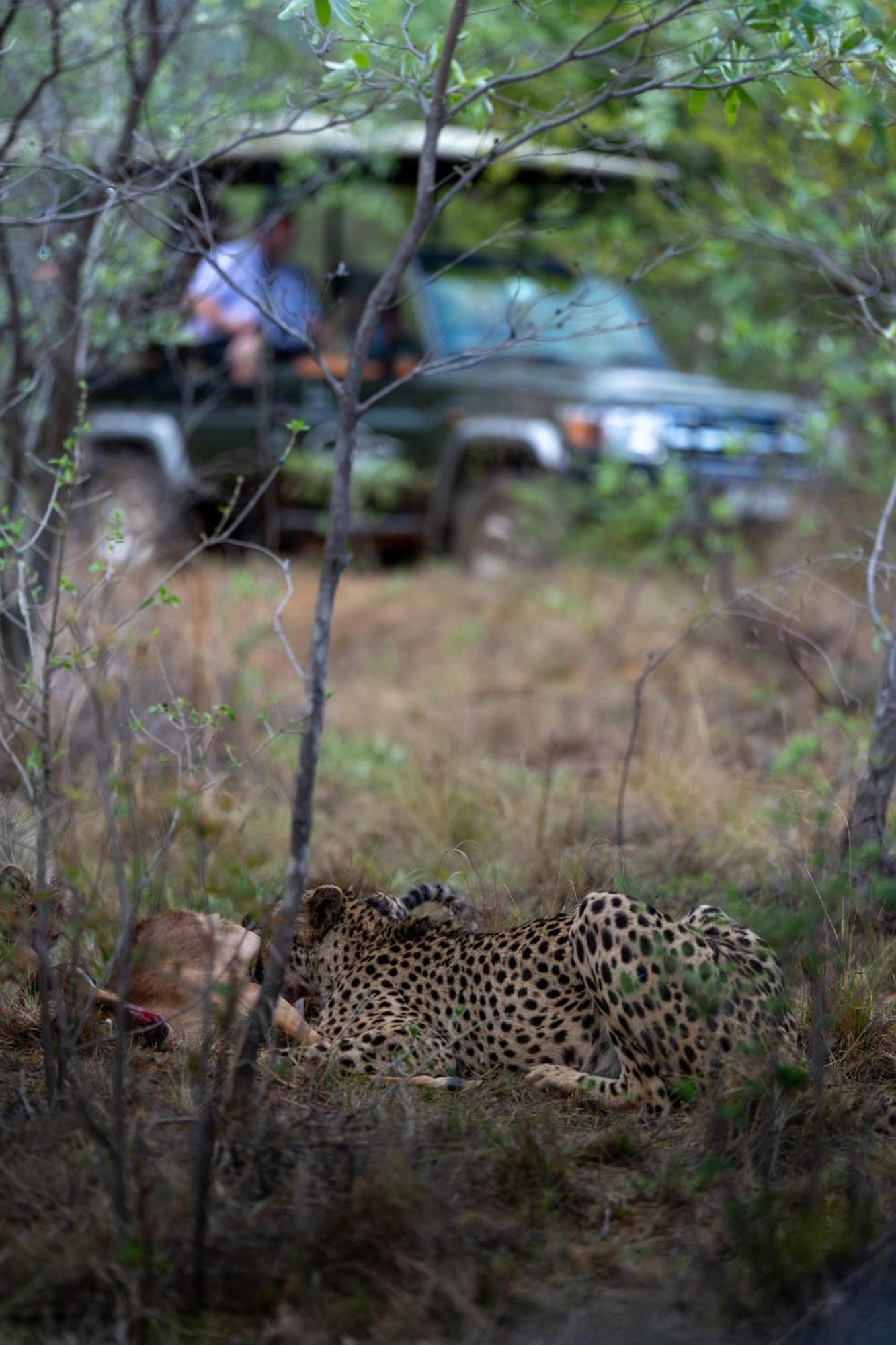 Sediba Luxury Safari Lodge Заповедник Велгевонден Экстерьер фото